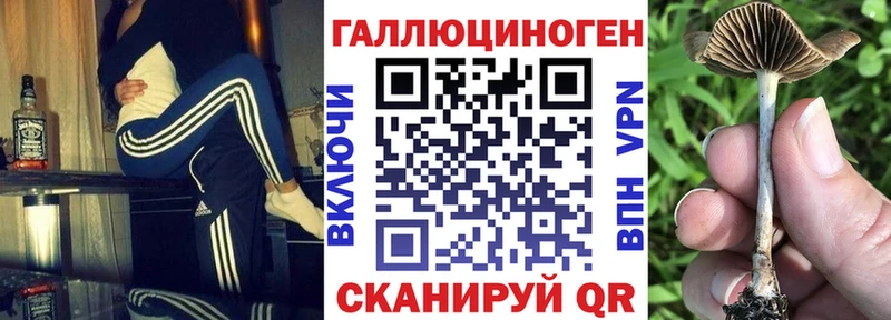 Псилоцибиновые грибы Psilocybe  Старый Крым 